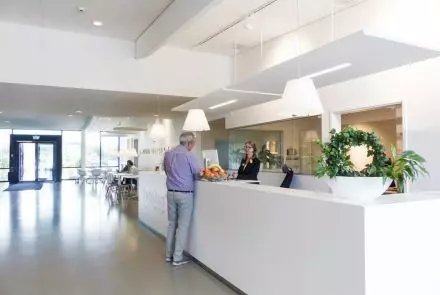 Solo™ Rectangle Line
