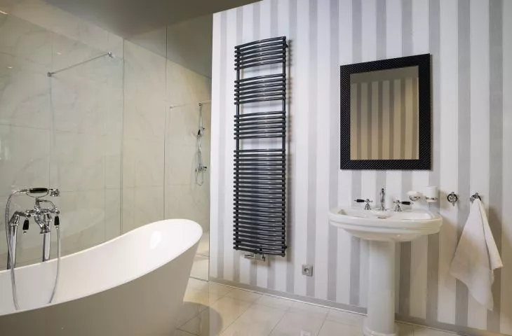 Zehnder radiator promotion with TopCare antibacterial coating and Natural colors