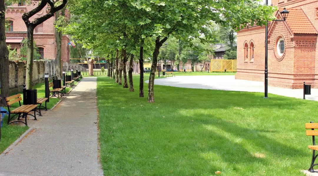 I Wyróżnienie w kategorii „Zrewitalizowana miejska przestrzeń publiczna”, Rynek w Rudzie Śląskiej - Orzegowie, proj. PPA Jacek Leśko
