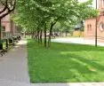 I Wyróżnienie w kategorii „Zrewitalizowana miejska przestrzeń publiczna”, Rynek w Rudzie Śląskiej - Orzegowie, proj. PPA Jacek Leśko