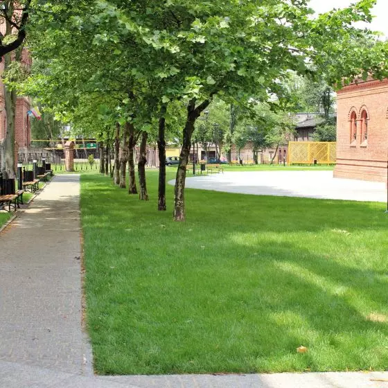 I Wyróżnienie w kategorii „Zrewitalizowana miejska przestrzeń publiczna”, Rynek w Rudzie Śląskiej - Orzegowie, proj. PPA Jacek Leśko