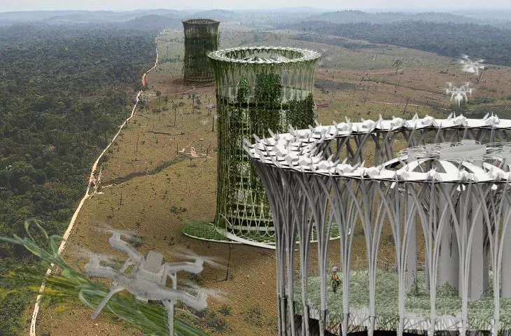 To the rescue of forests. The futuristic reForestation project