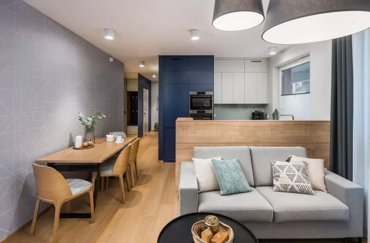 Pomegranate theme. Apartment by InDe Projekt