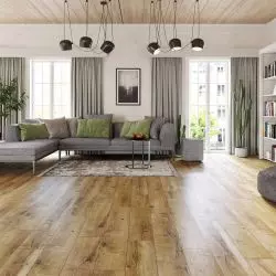 Trend 4V — Vanda Oak
