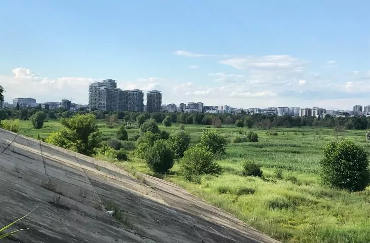 In Bucharest, nature is doing better than man