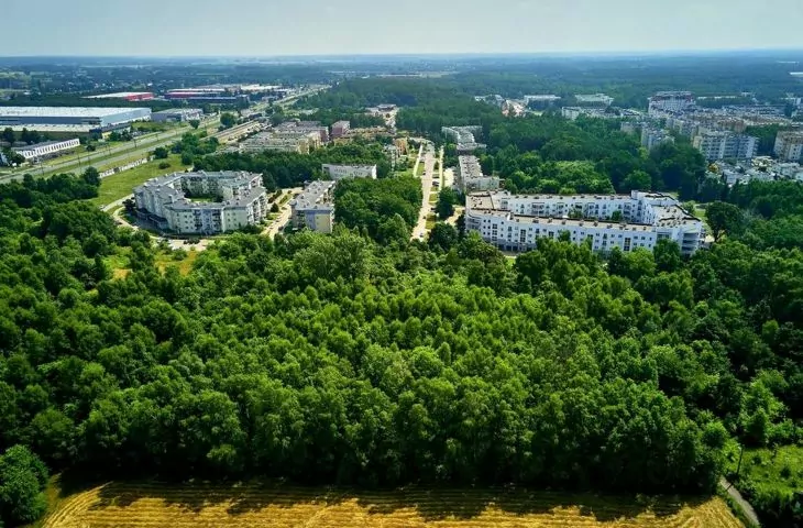 60 hektarów parku zamiast nowej zabudowy w Łodzi! Mieszkańcy osiedla Janów postawili na swoim