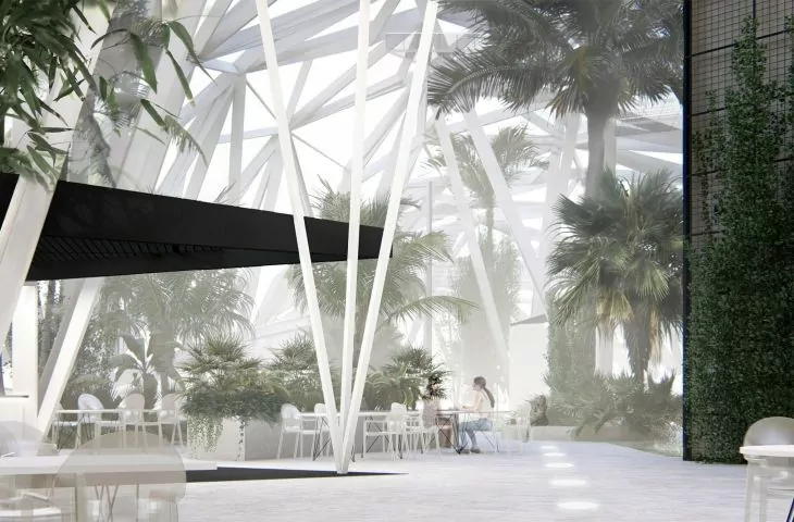 Paulina Pasztaleniec - Passages of inner harmony. Active Palm House