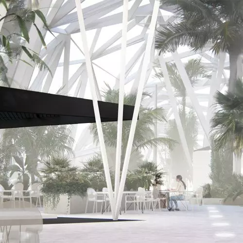 Paulina Pasztaleniec - Passages of inner harmony. Active Palm House