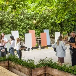 Premiera Silestone Sunlit Days