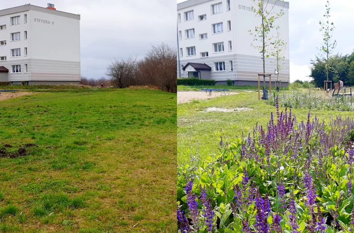 Gdyńskie Kieszonki Obywatelskie wyrastają jak grzyby po deszczu! Najnowszy park to miejski minikosmos
