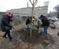 One of the community tree planting actions in Gdansk