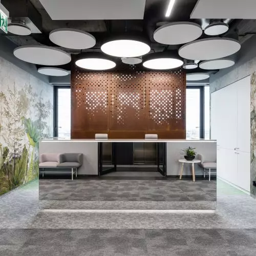 Nature and its colors. Columbus Energy's new creative interiors in Krakow