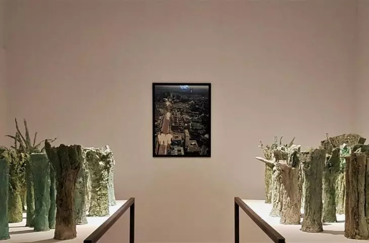 Arborealna Abakanowicz – zielona architektura w poznańskim Muzeum Narodowym