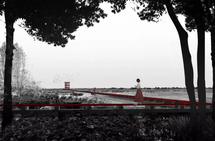 Wyróżnienie (ex aequo)