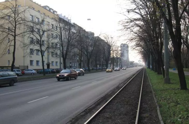 Three hundred trees to be cut down in Washington Avenue