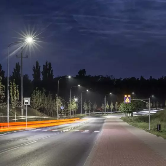 Zielony Wzór 2021 — Tiara LED, lampa drogowa, producent Lena Lighting