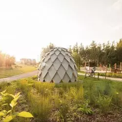Pinecone, Lublin