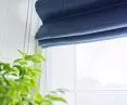 Window decorations