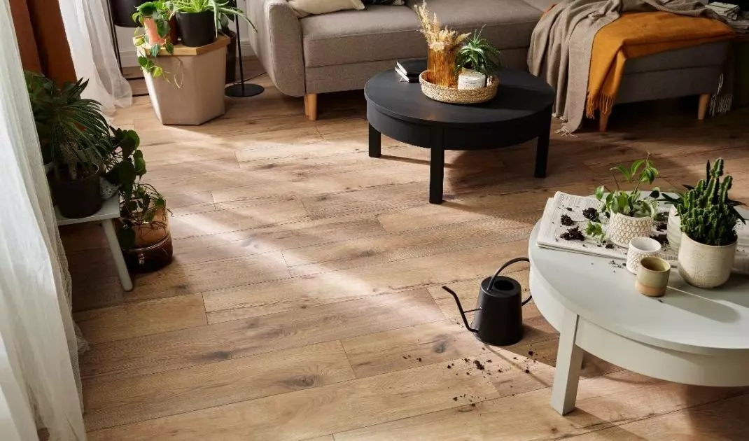 Na zdjęciu: panele laminowane QuerraHarmony WR