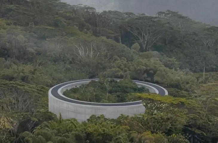 Tjukula Jukurrpa. A rehabilitation center for Australian koalas in Queensland