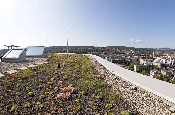 Ekologiczne materiały termoizolacyjne do dachów
