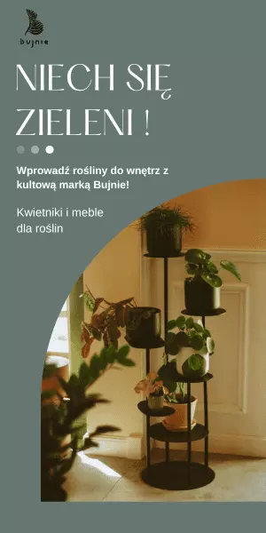 Bujnie.pl – Niech się zieleni