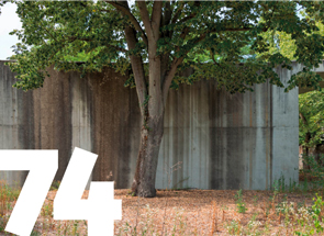 Herzog & de Meuron