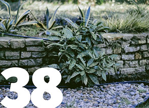 Xeriscaping: ZrÃ³wnowaÅ¼one gospodarowanie zasobami wodnymi