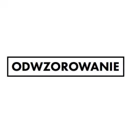 Odwzorowanie