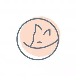 Kutikai