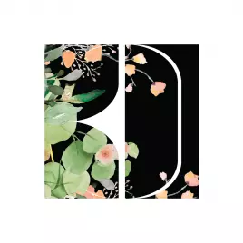 BelDesign