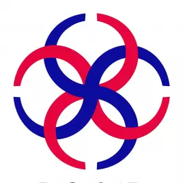 DOMIR