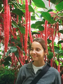 Laura Korach