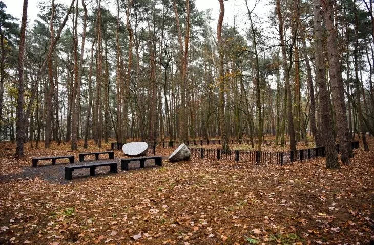 Forest of memory, municipal cemetery in Juników, Poznań
