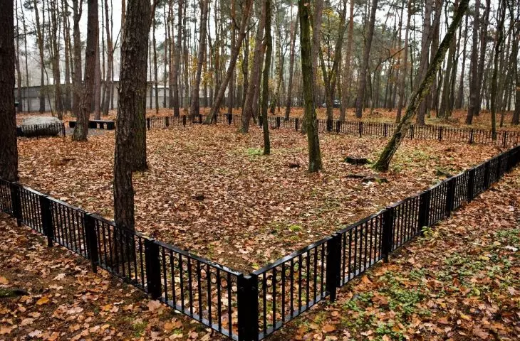 Las pamięci, cmentarz komunalny na Junikowie w Poznaniu