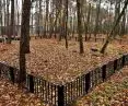 Las pamięci, cmentarz komunalny na Junikowie w Poznaniu