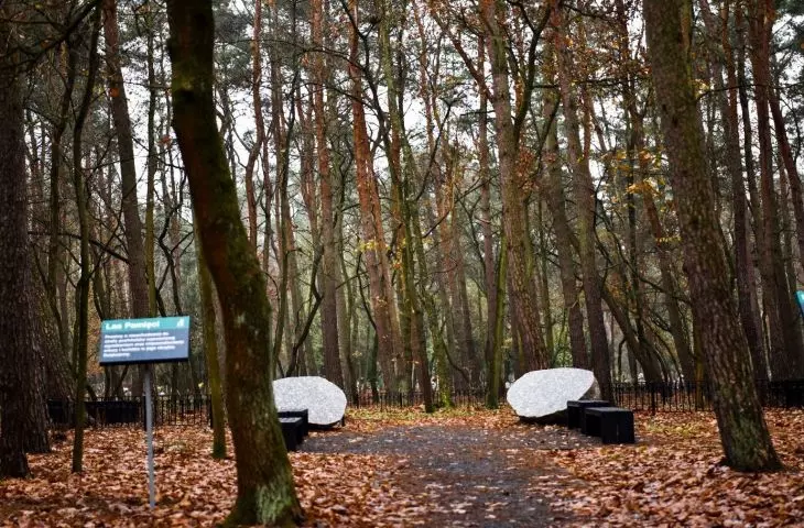 Las pamięci, cmentarz komunalny na Junikowie w Poznaniu