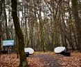Las pamięci, cmentarz komunalny na Junikowie w Poznaniu