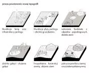 The process of creating a new topography of the area