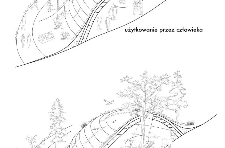 Life cycle of pavilions, diagrams