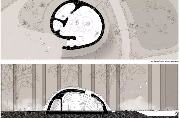 Projections of the proposed pavilions