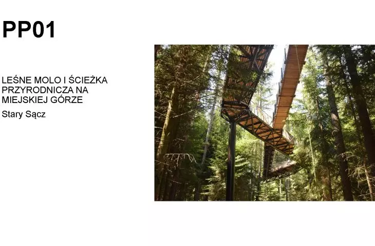 Leśne molo i ścieżka przyrodnicza na Miejskiej Górze w  Starym Sączu