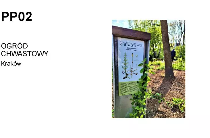 Ogród chwastowy