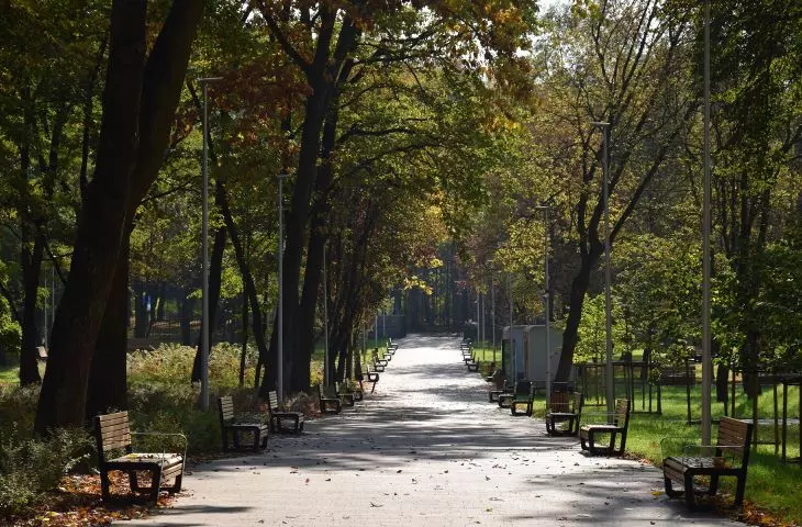 Park Pokoju pomiędzy ul. Słowackiego, Chemików, Dąbrowskiego i Olszewskiego w Oświęcimiu