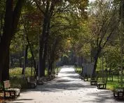 Park Pokoju pomiędzy ul. Słowackiego, Chemików, Dąbrowskiego i Olszewskiego w Oświęcimiu