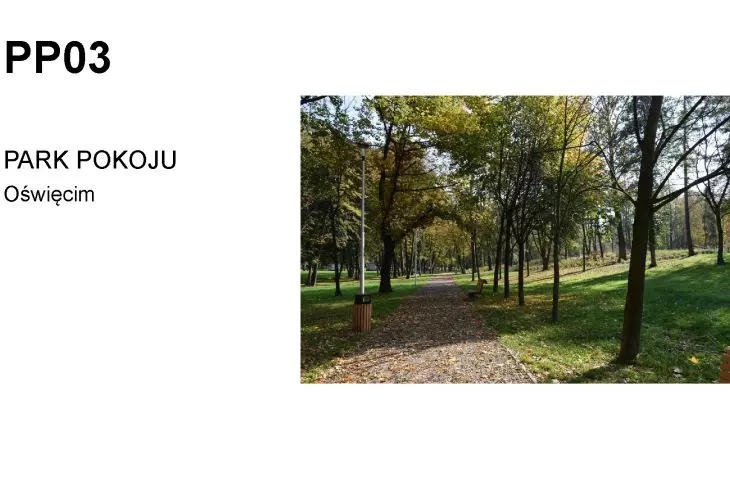 Park Pokoju pomiędzy ul. Słowackiego, Chemików, Dąbrowskiego i Olszewskiego w Oświęcimiu