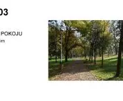 Park Pokoju pomiędzy ul. Słowackiego, Chemików, Dąbrowskiego i Olszewskiego w Oświęcimiu