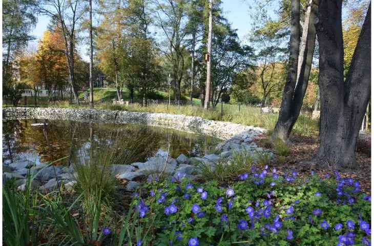 Park Pokoju pomiędzy ul. Słowackiego, Chemików, Dąbrowskiego i Olszewskiego w Oświęcimiu