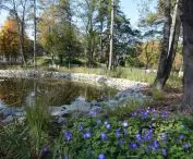 Park Pokoju pomiędzy ul. Słowackiego, Chemików, Dąbrowskiego i Olszewskiego w Oświęcimiu
