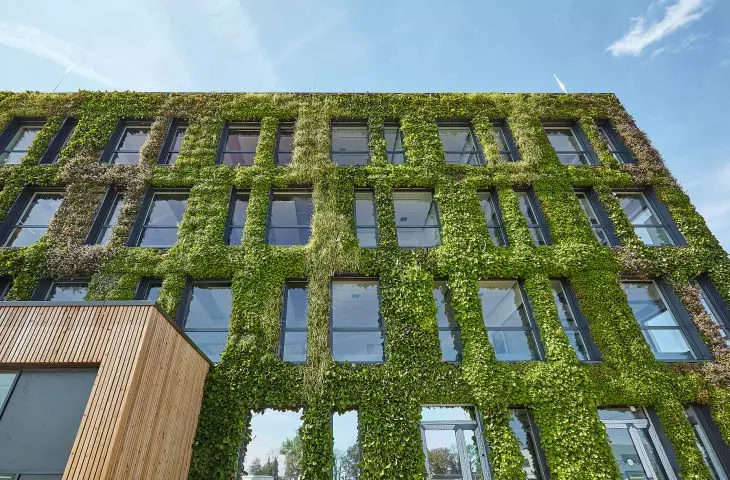 Green facade, Moers